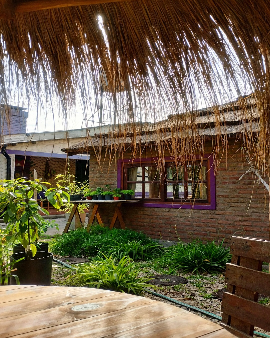 El patio
